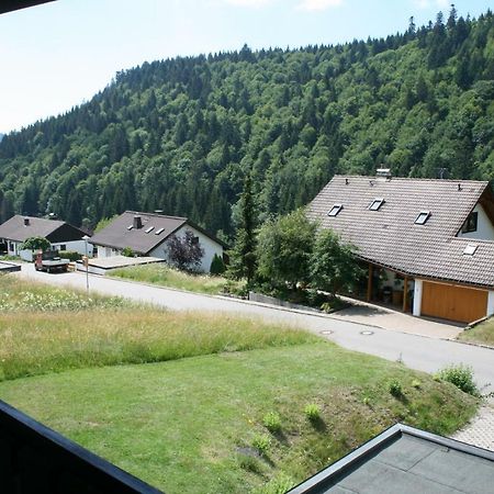 Apartment Rose Todtmoos Zewnętrze zdjęcie